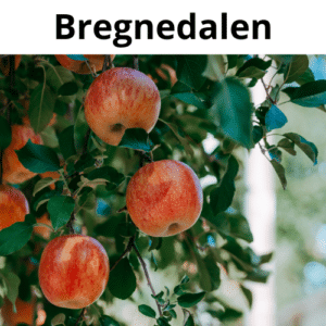 Bregnedalen